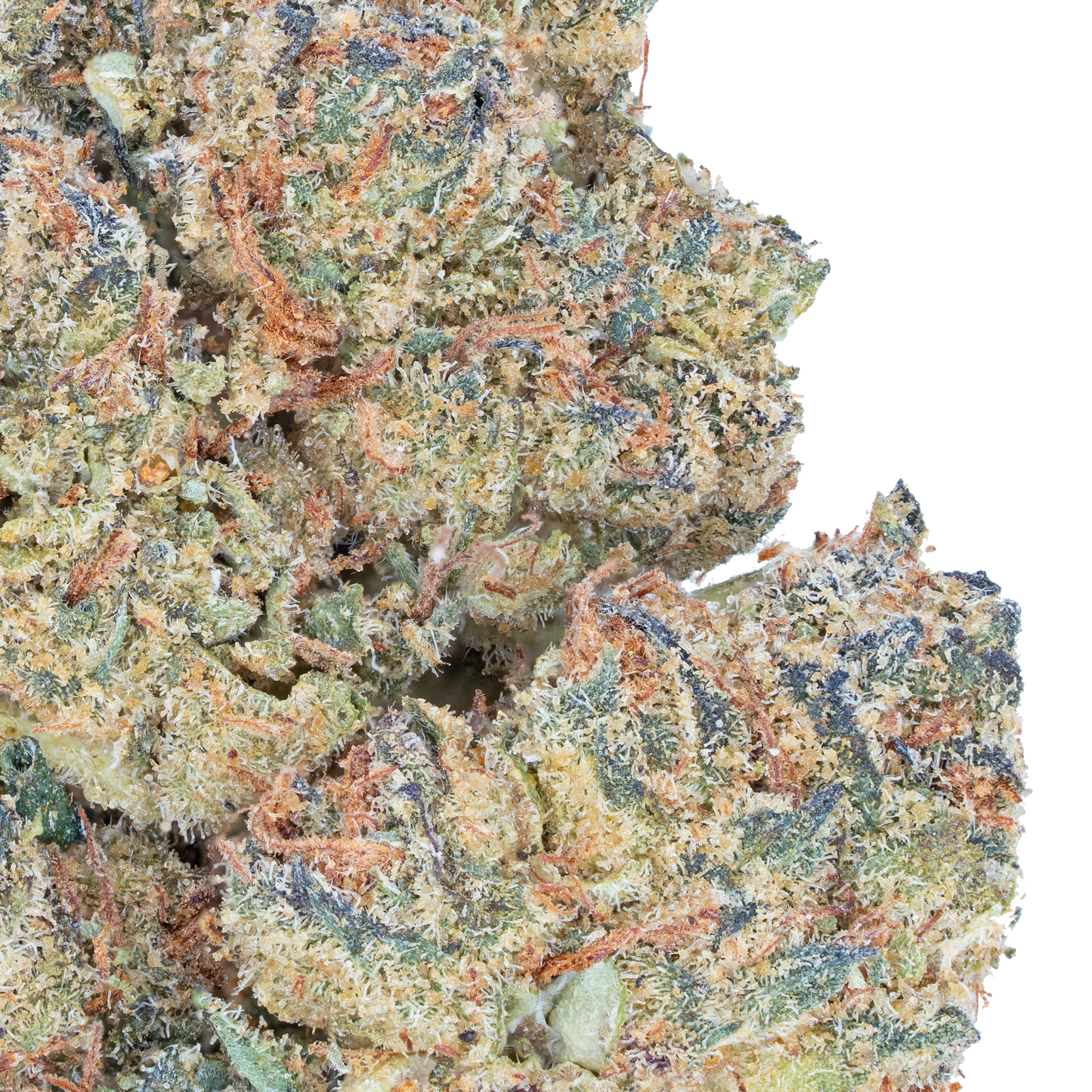 Jealousy - THCa Flower