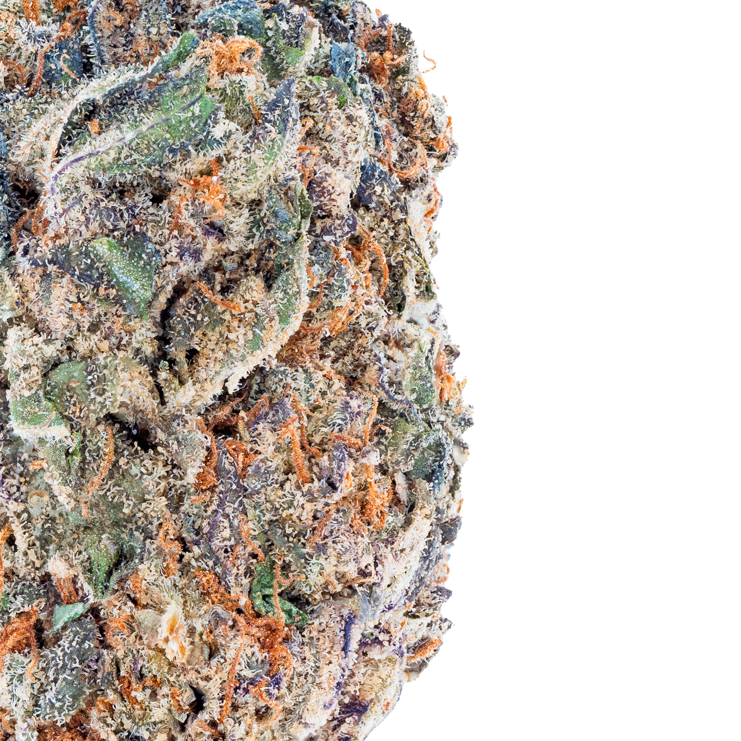 Purple Push Pop -THCa Flower
