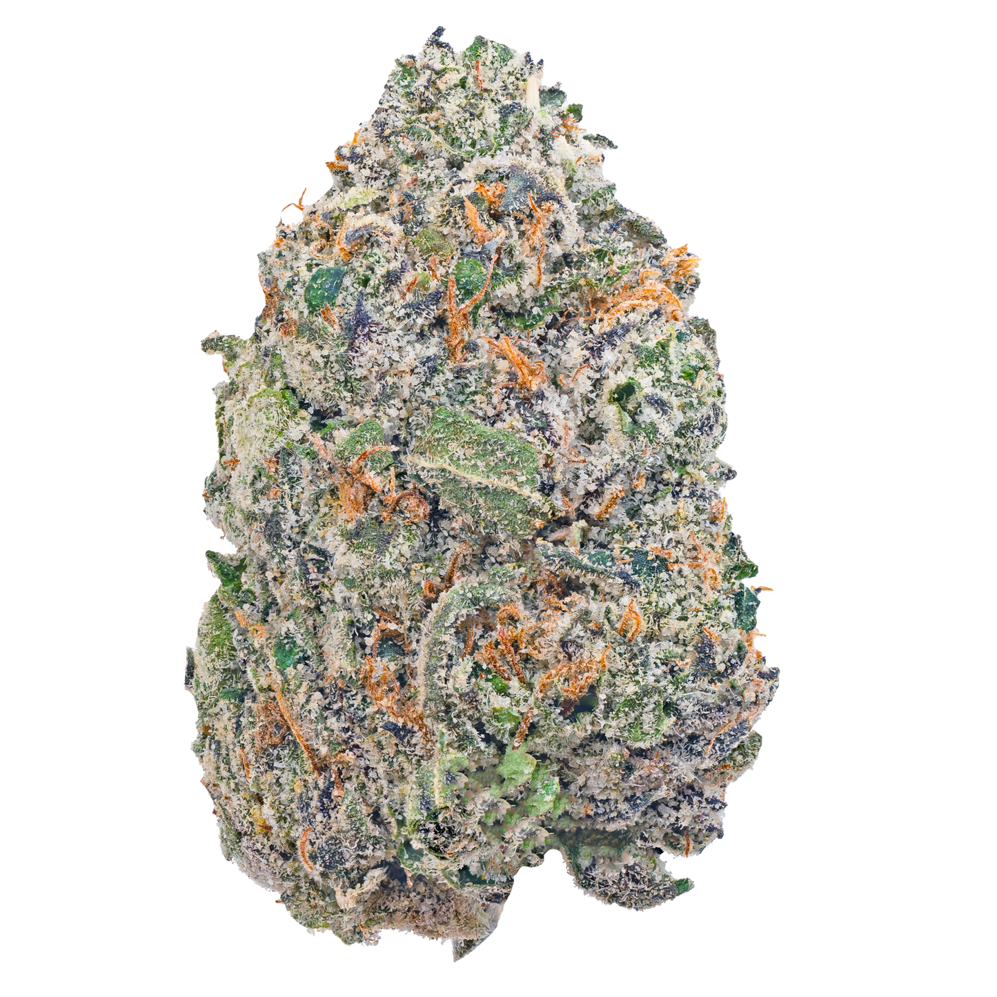 Gelato 45 - THCa Flower