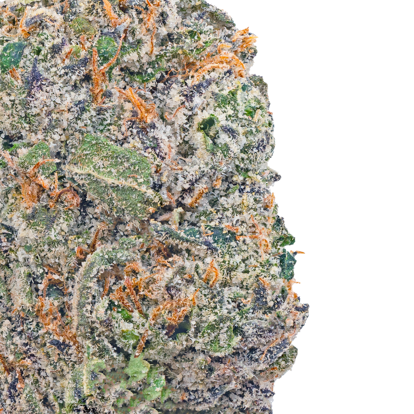 Gelato 45 - THCa Flower