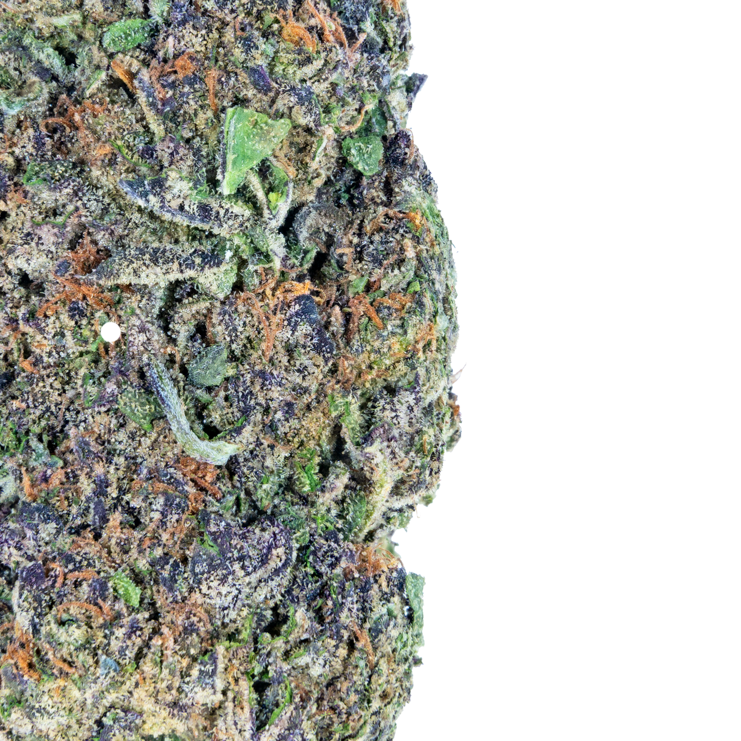 Ice Cream Runtz - THCa Flower