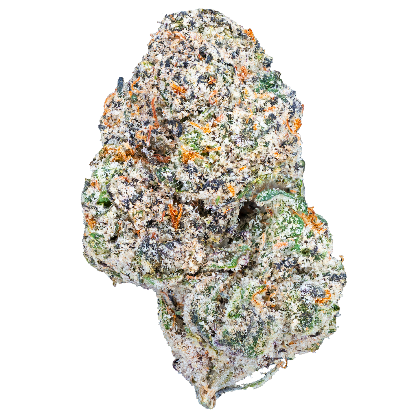 Bulk Exotic Flower