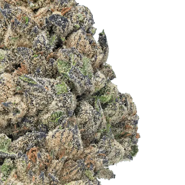 Greenhouse THCa Flower