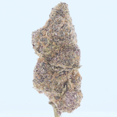 Purple Push Pop -THCa Flower
