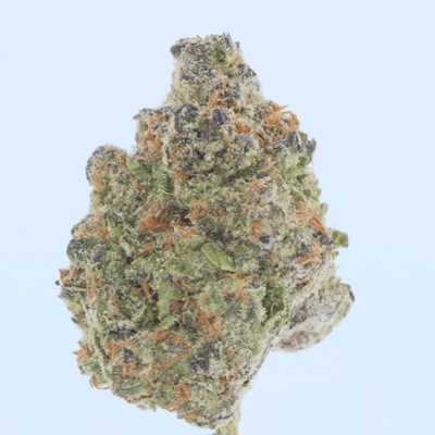 Mochi - THCa Flower