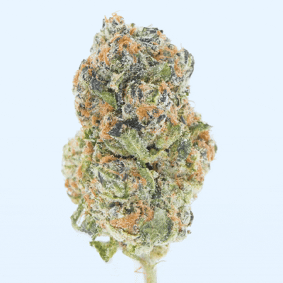 Runtz Zushi- THCa Flower