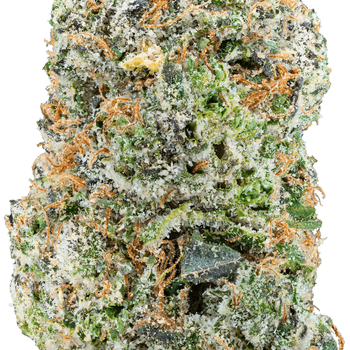 Zoap - THCa Flower