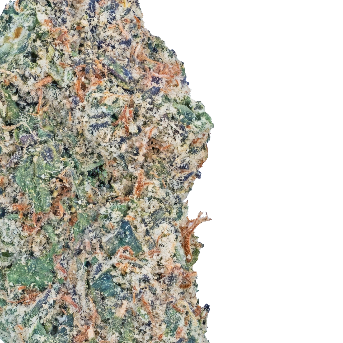 Runtz Zushi- THCa Flower