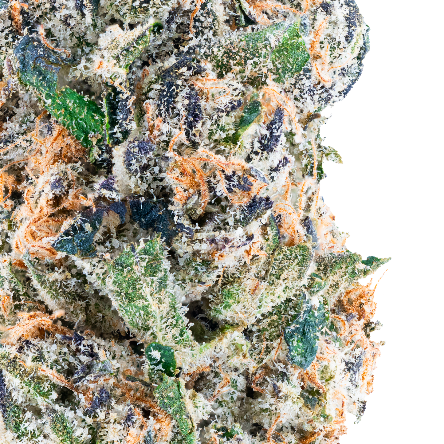 Runtz Zushi- THCa Flower