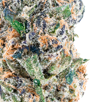 Runtz Zushi- THCa Flower