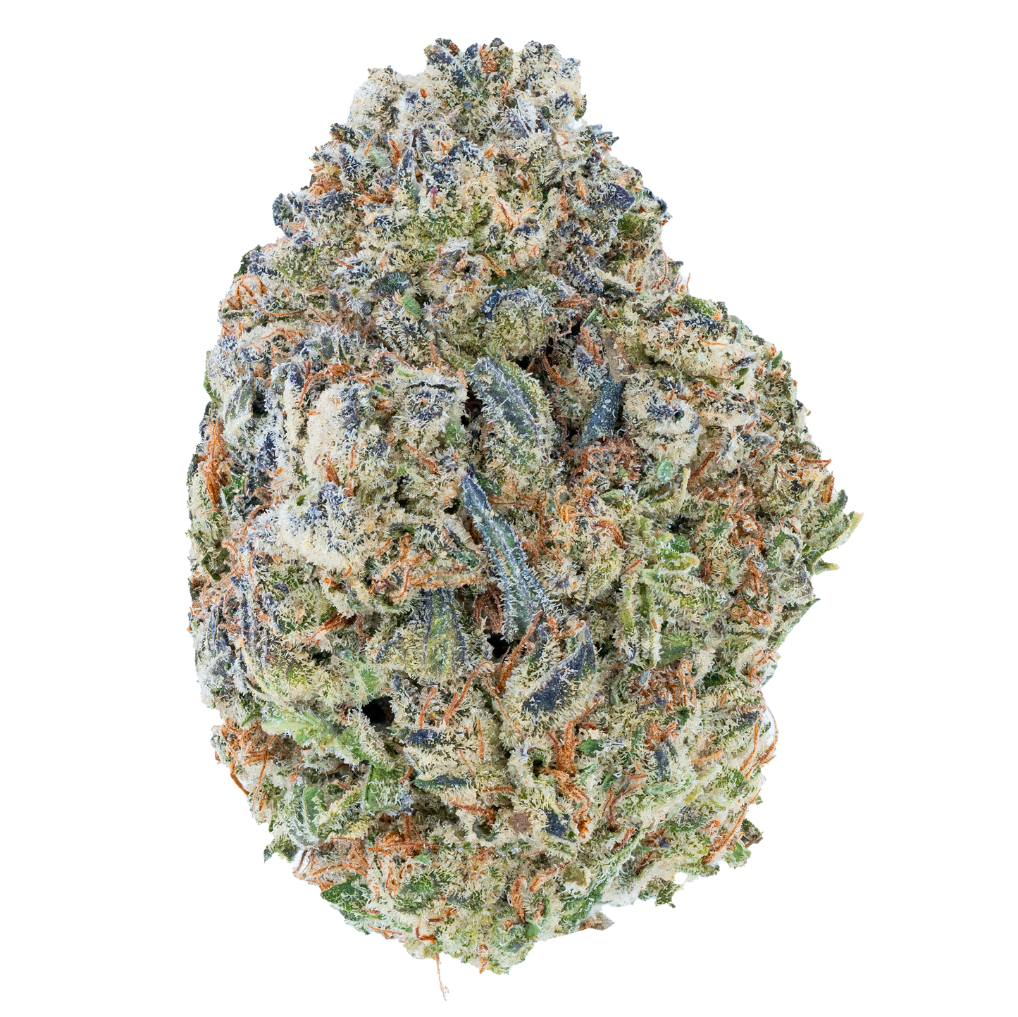 Bulk Discount Indoor Flower