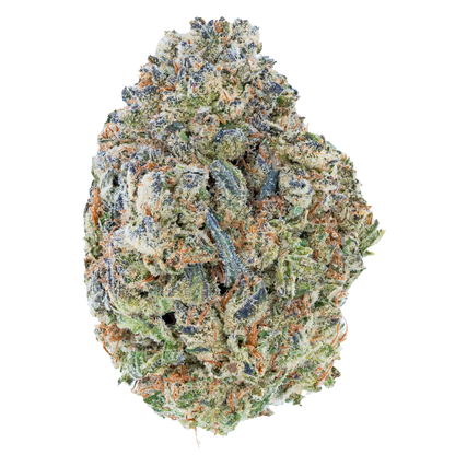 Bulk Discount Indoor Flower
