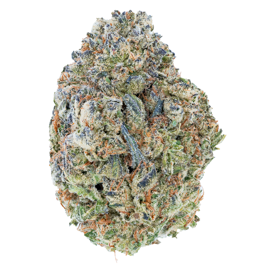 Bulk Discount Indoor Flower