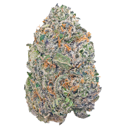 Gelato 45 - THCa Flower