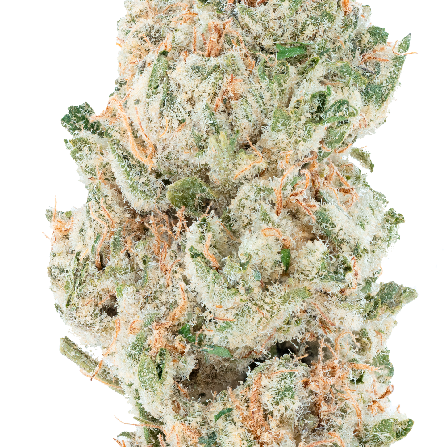 Snowing Candy IceFlash -THCa Flower