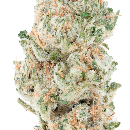 Snowing Candy IceFlash -THCa Flower