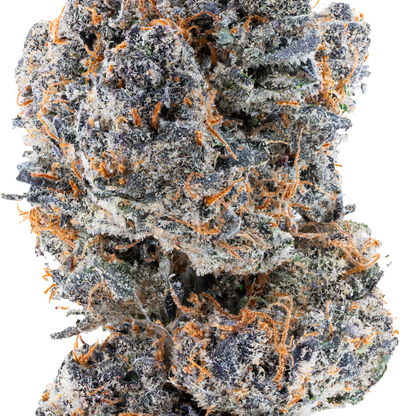 Gummy Sorbet - THCa Flower