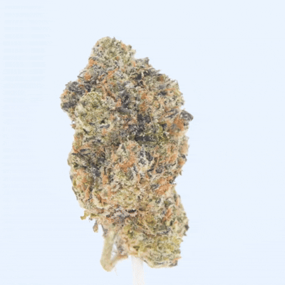 Cherry Zashimi- THCa Flower