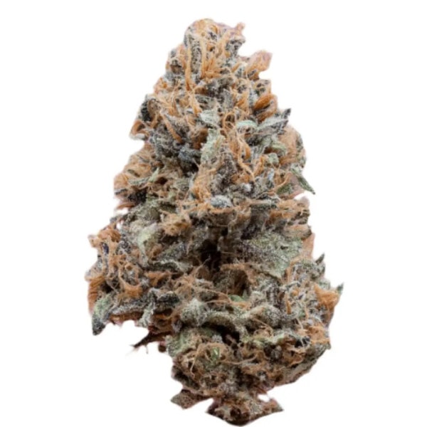 THCa Flower Sample 1g 