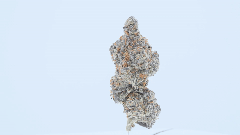 Zoap - THCa Flower