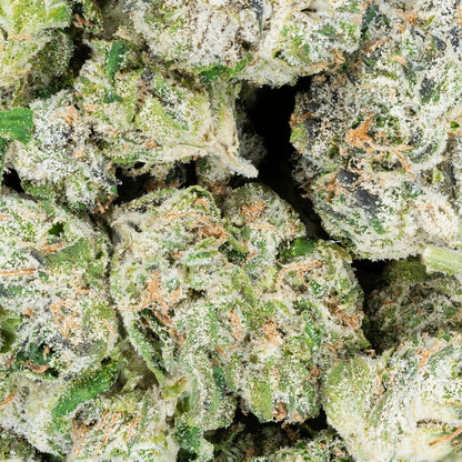 Bulk Indoor Flower