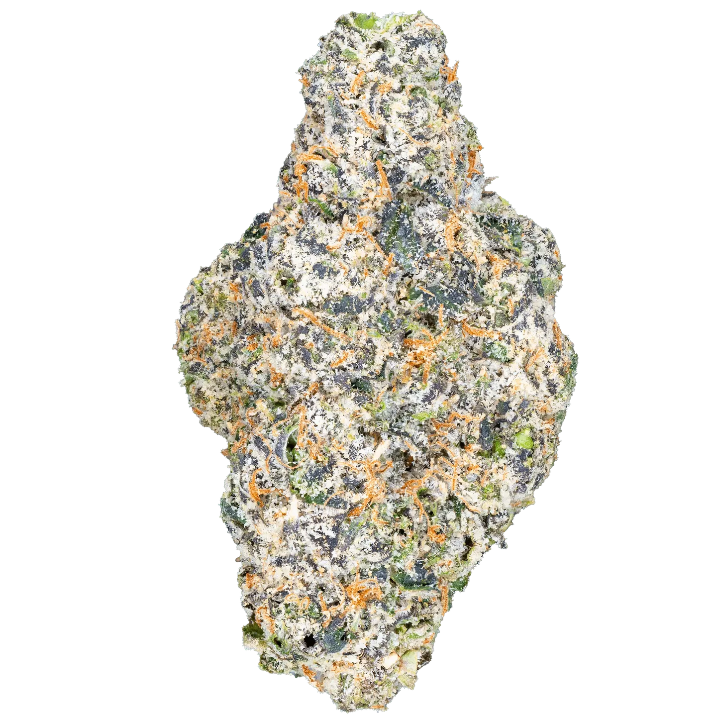 Bulk Greenhouse Flower