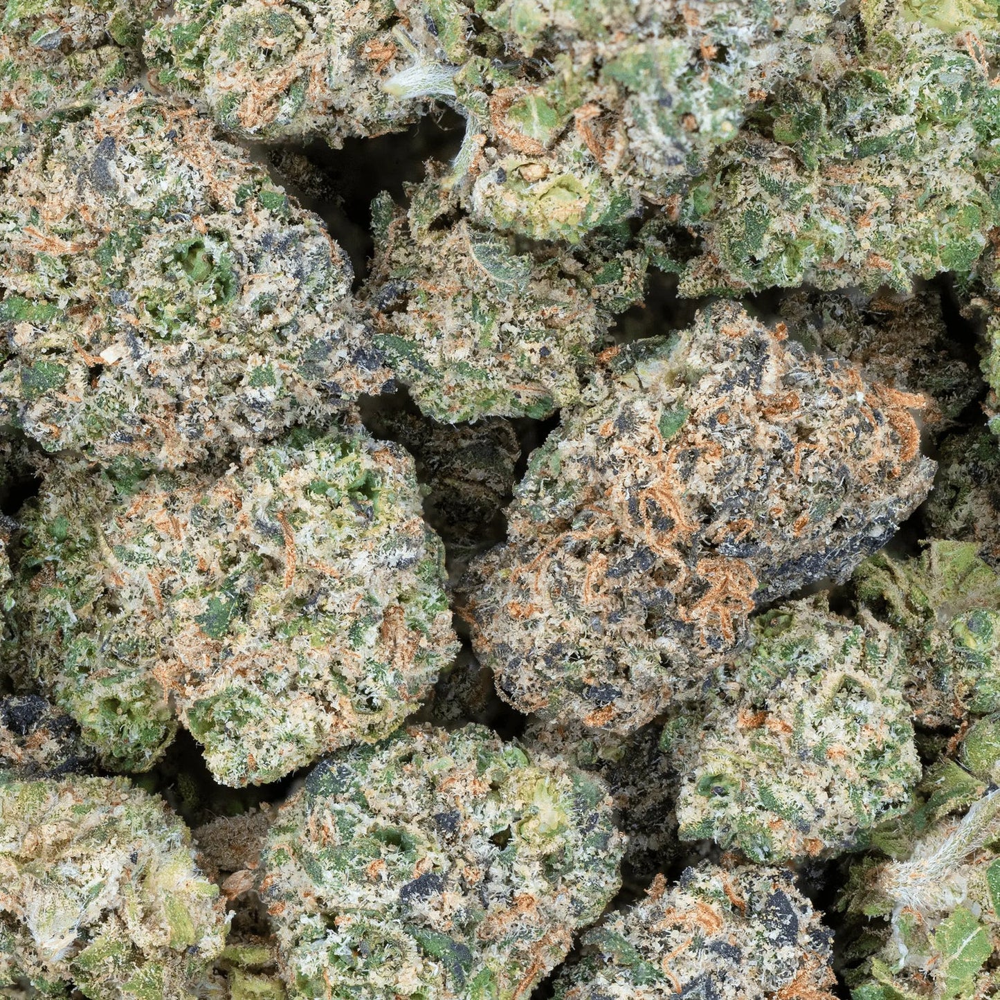 Bulk Indoor Smalls