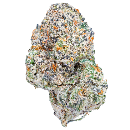 Bulk Exotic Flower