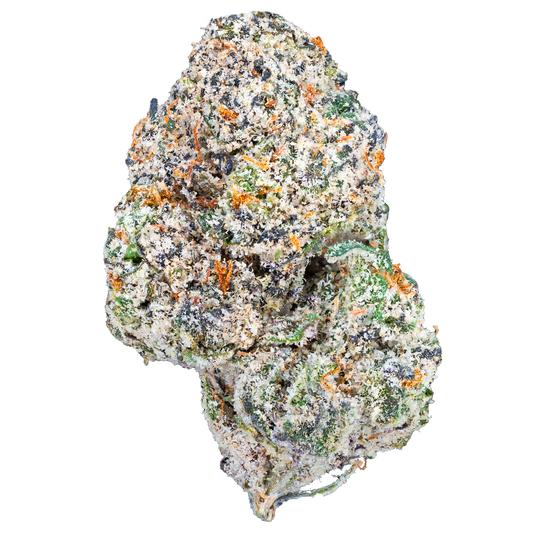 Bulk Exotic Flower