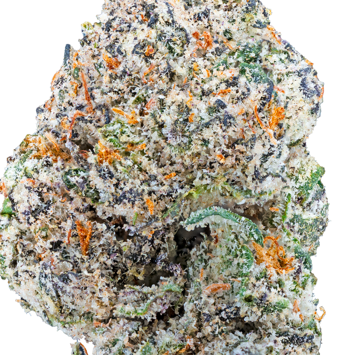 Bulk Exotic Flower